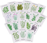 Sereniseed Certified Organic Herb Seeds (20-Pack) – Non GMO, Heirloom – Seed Starting Video