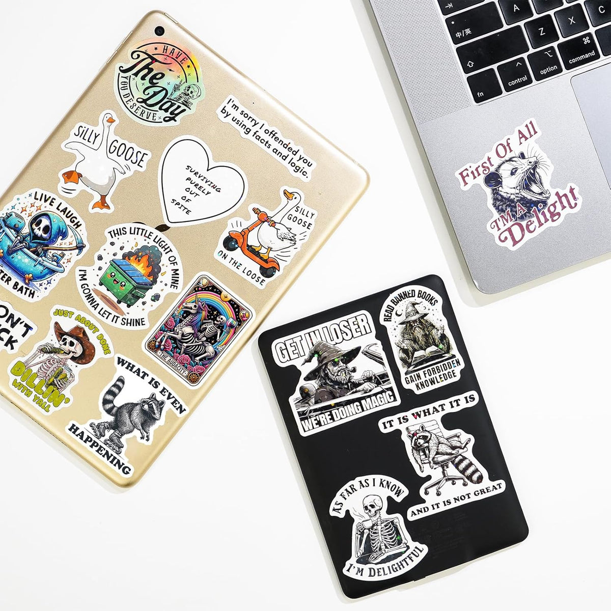 200 PCS Funny Holographic Stickers for Adults, Waterproof Vinyl Sarcastic Meme Decals for Laptop, Water Bottle, Phone, Kindle, Journal, Scrapbook, Bumper, Skateboard, Luggage, No Repeats